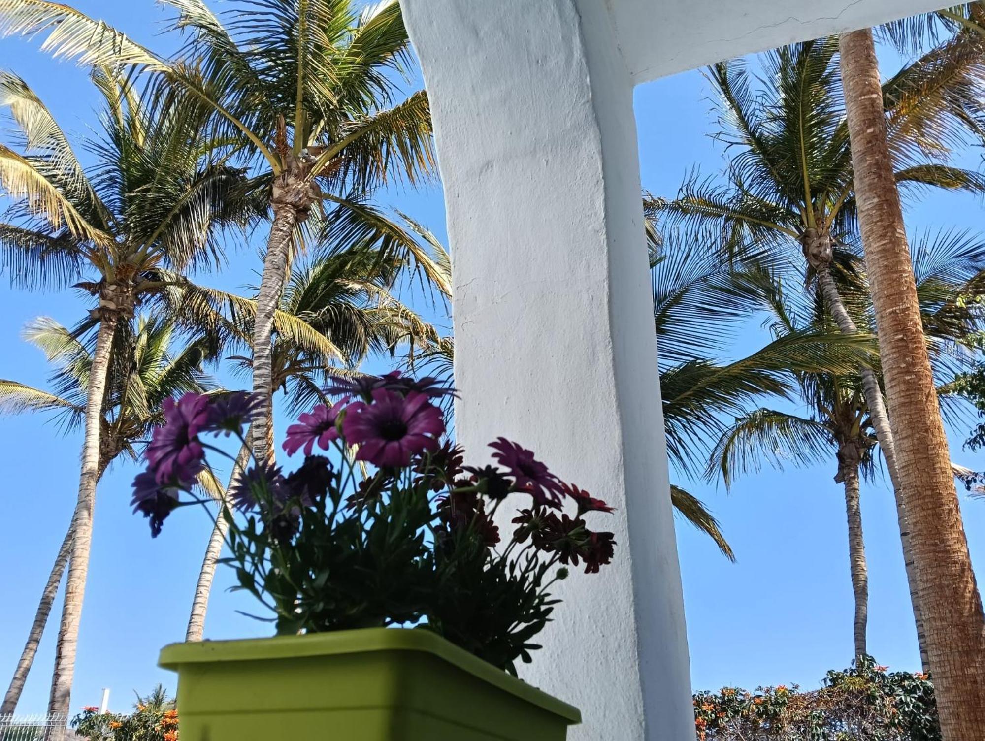 Appartamento Las Palmas Tarajalejo Bagian luar foto